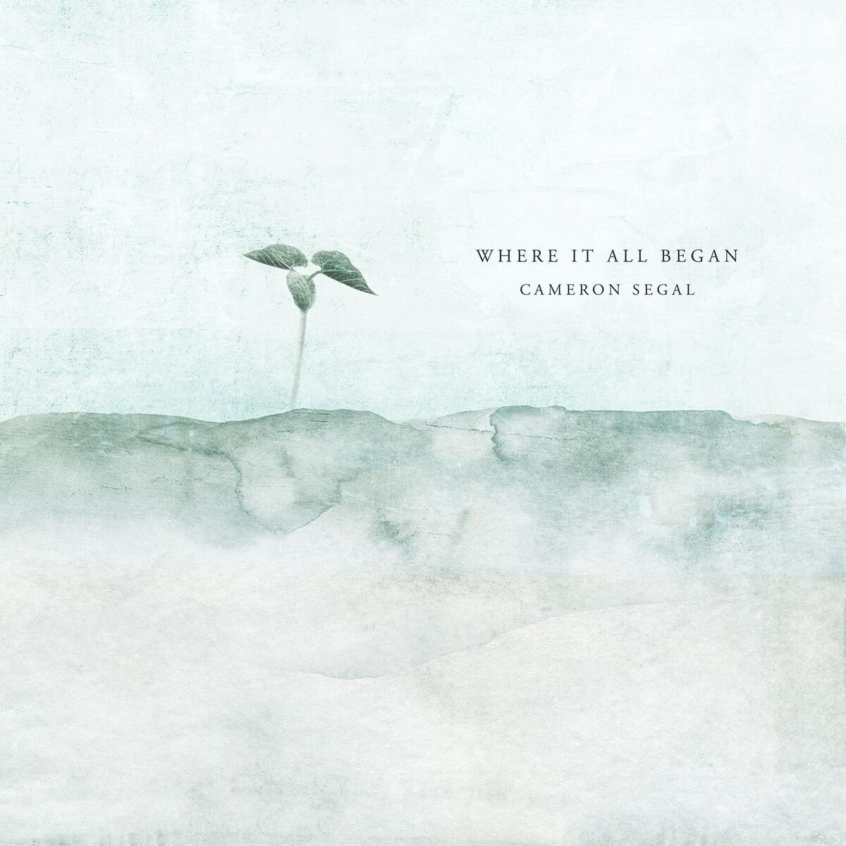 Album cover of Where It All Began