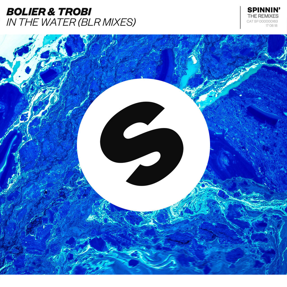 Picture of In The Water (BLR Mixes)