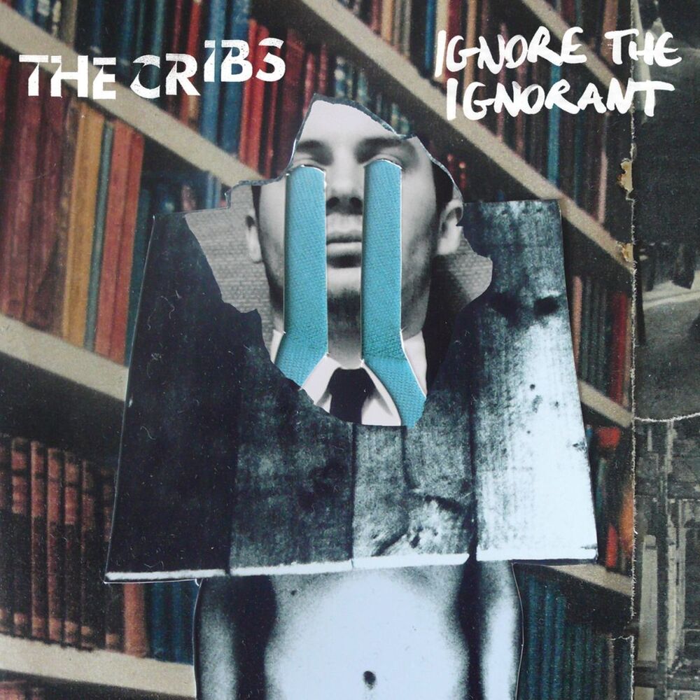 Picture of Ignore The Ignorant