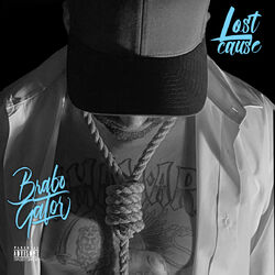 Cover of Lost Cause