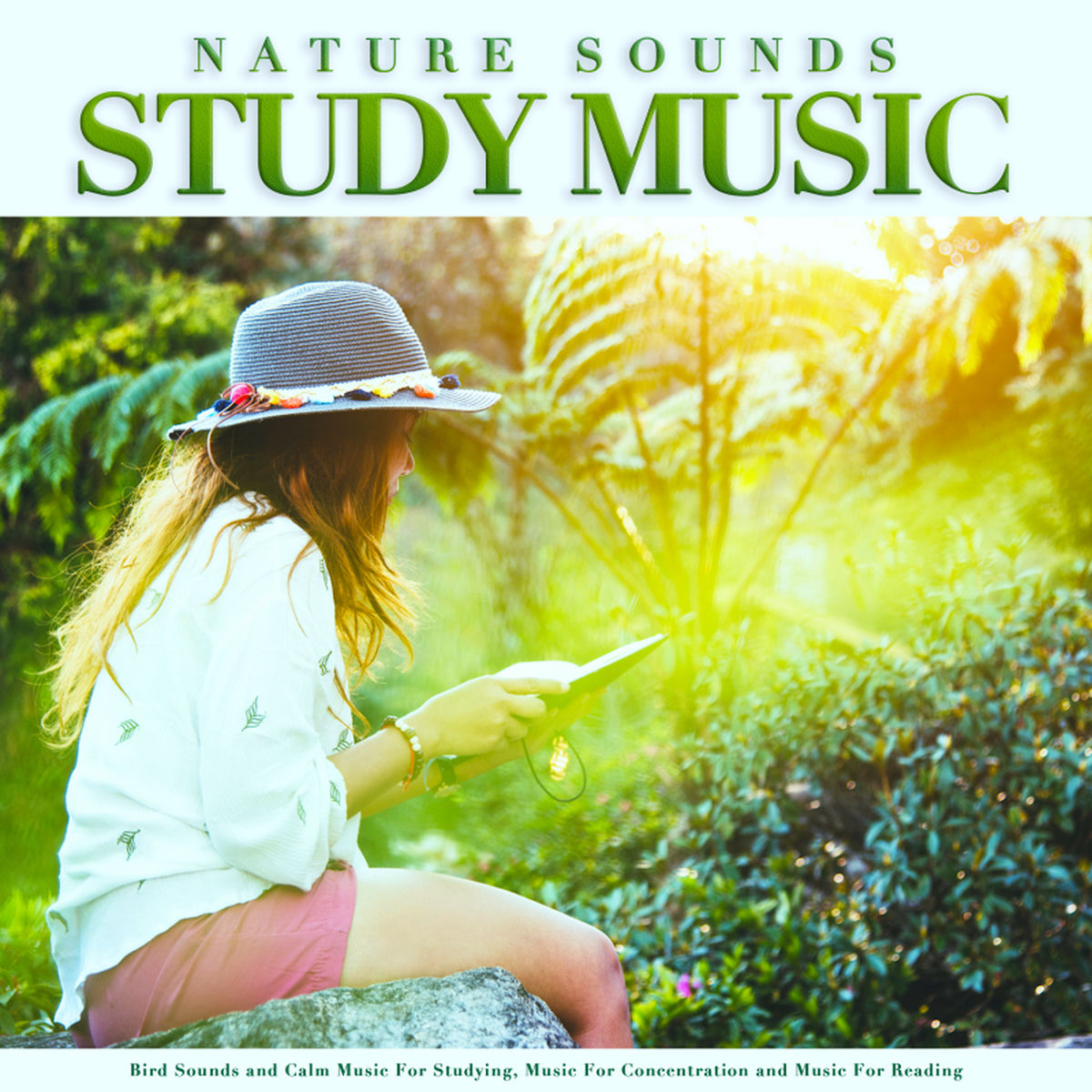Album cover of The Best Study Music