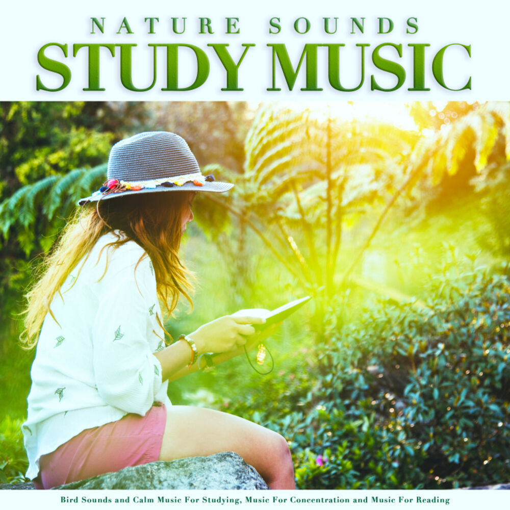 Picture of Nature Sounds Study Music: Bird Sounds and Calm Music For Studying, Music For Concentration and Music For Reading
