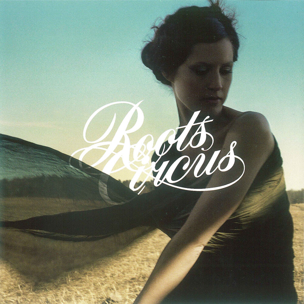 Picture of Roots Circus
