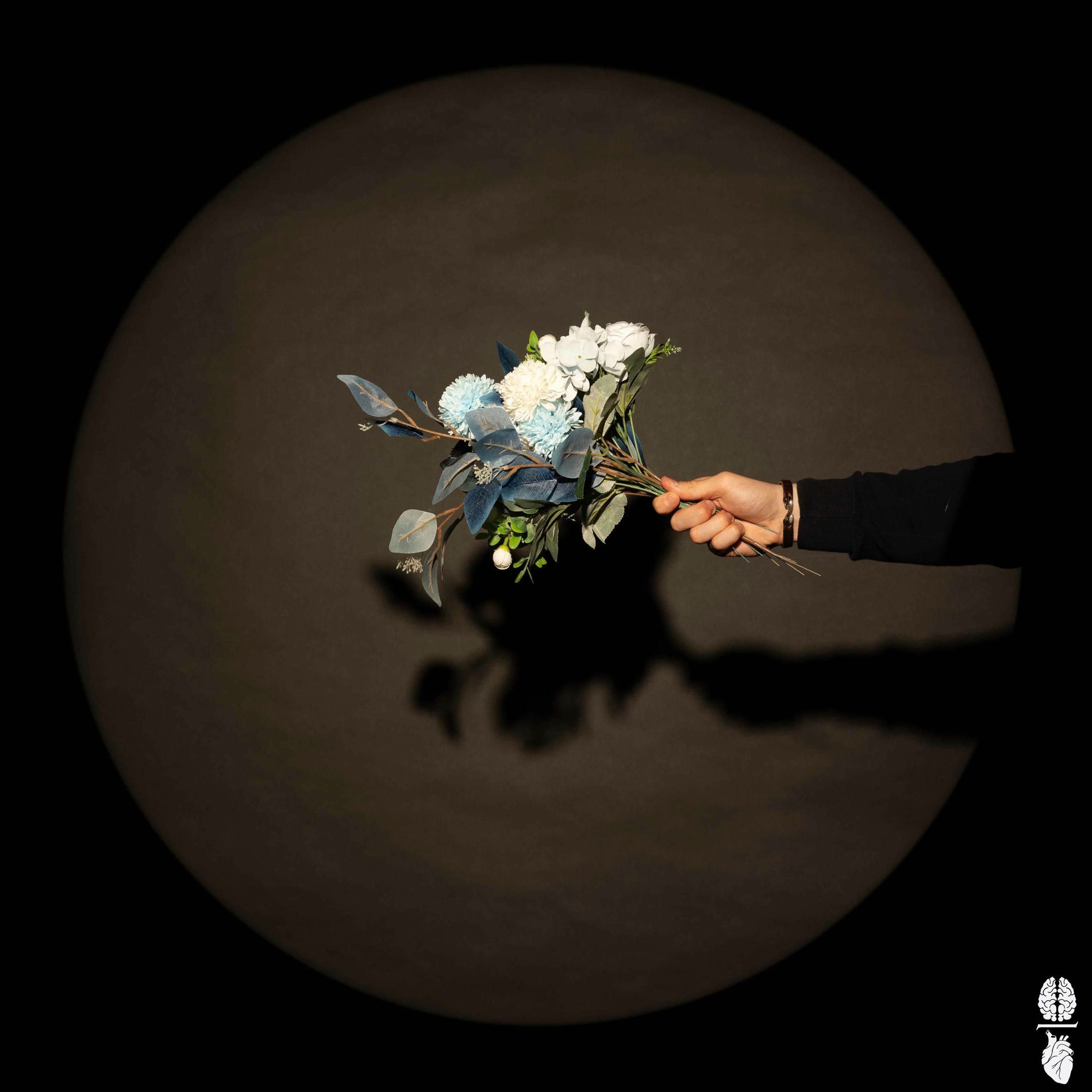 Album cover of A Chance To Bloom