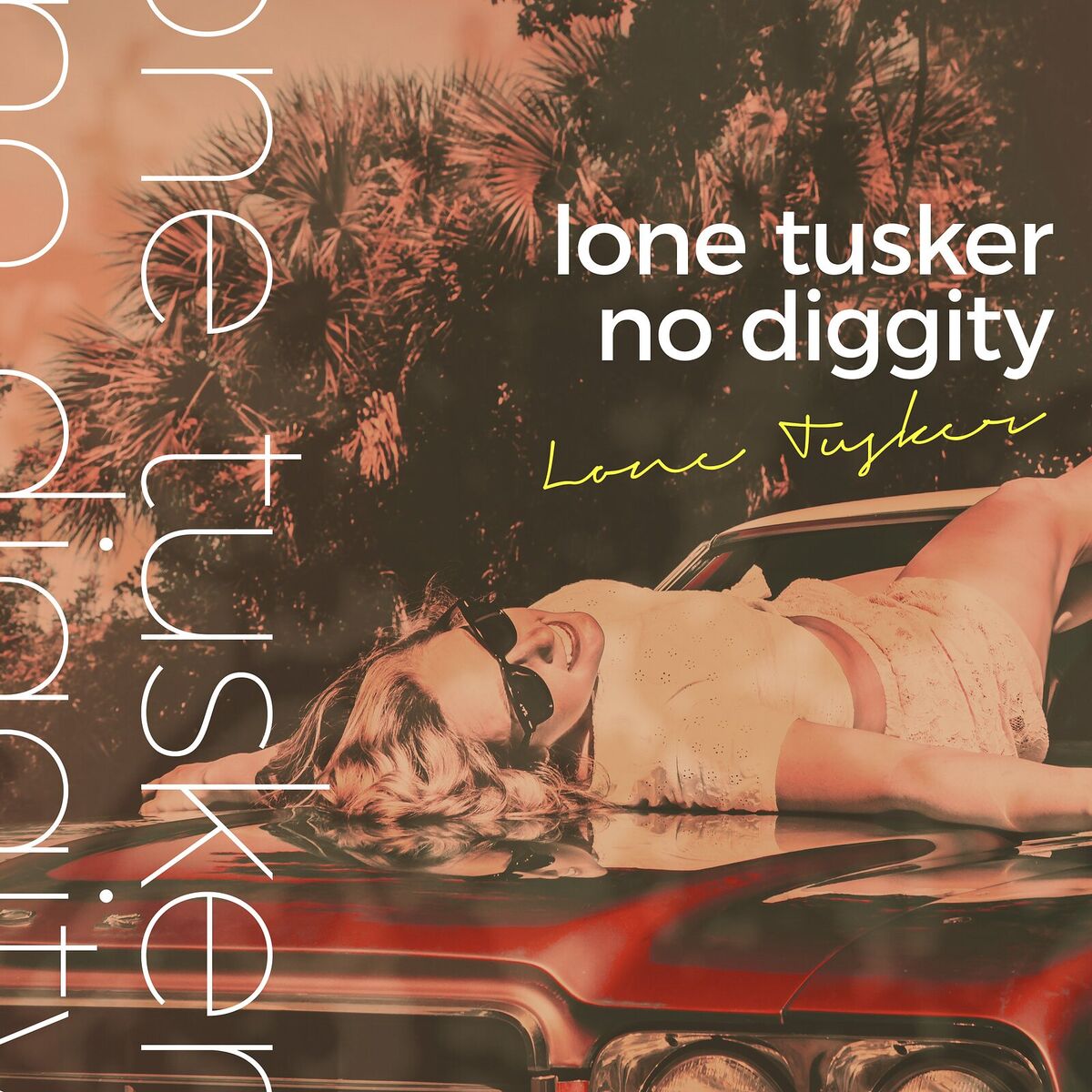 Album cover of No Diggity