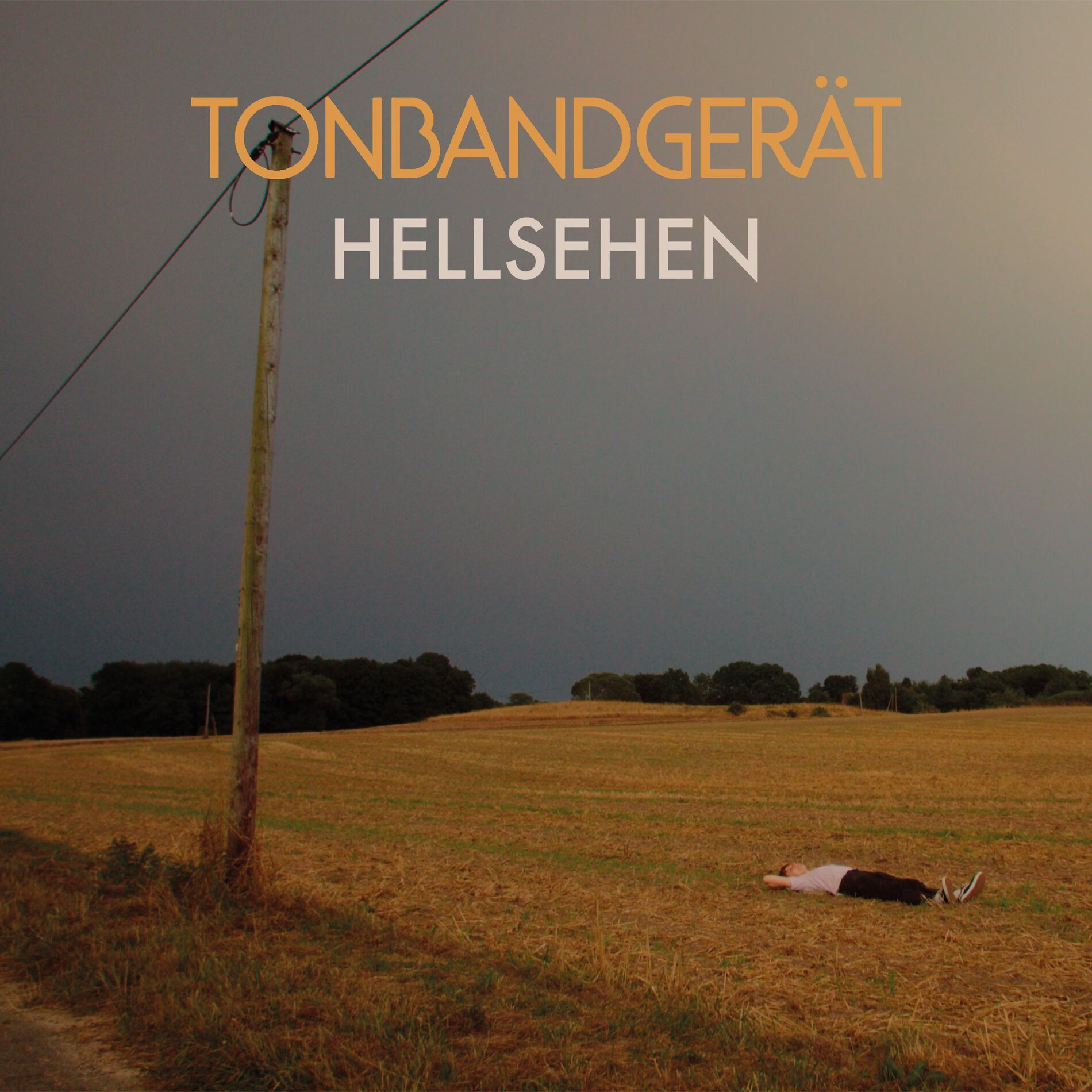 Album cover of Hellsehen