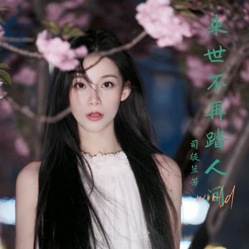 来世不再踏人间