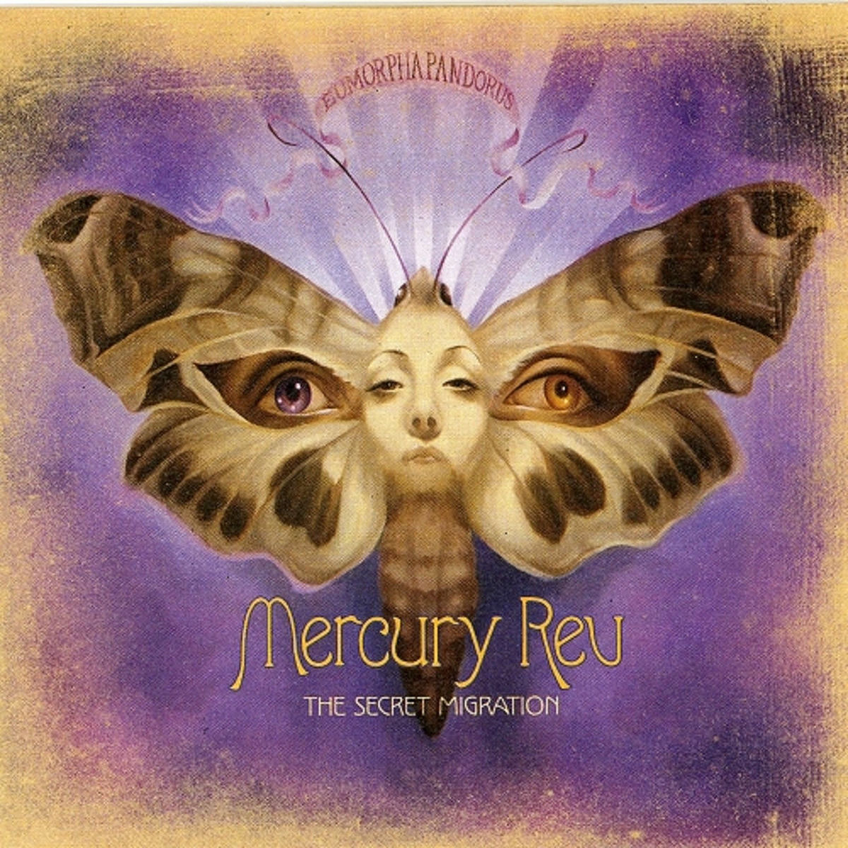 Album cover of The Secret Migration