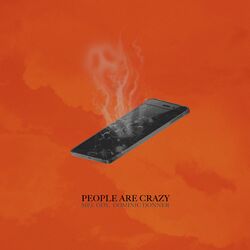Cover of People Are Crazy