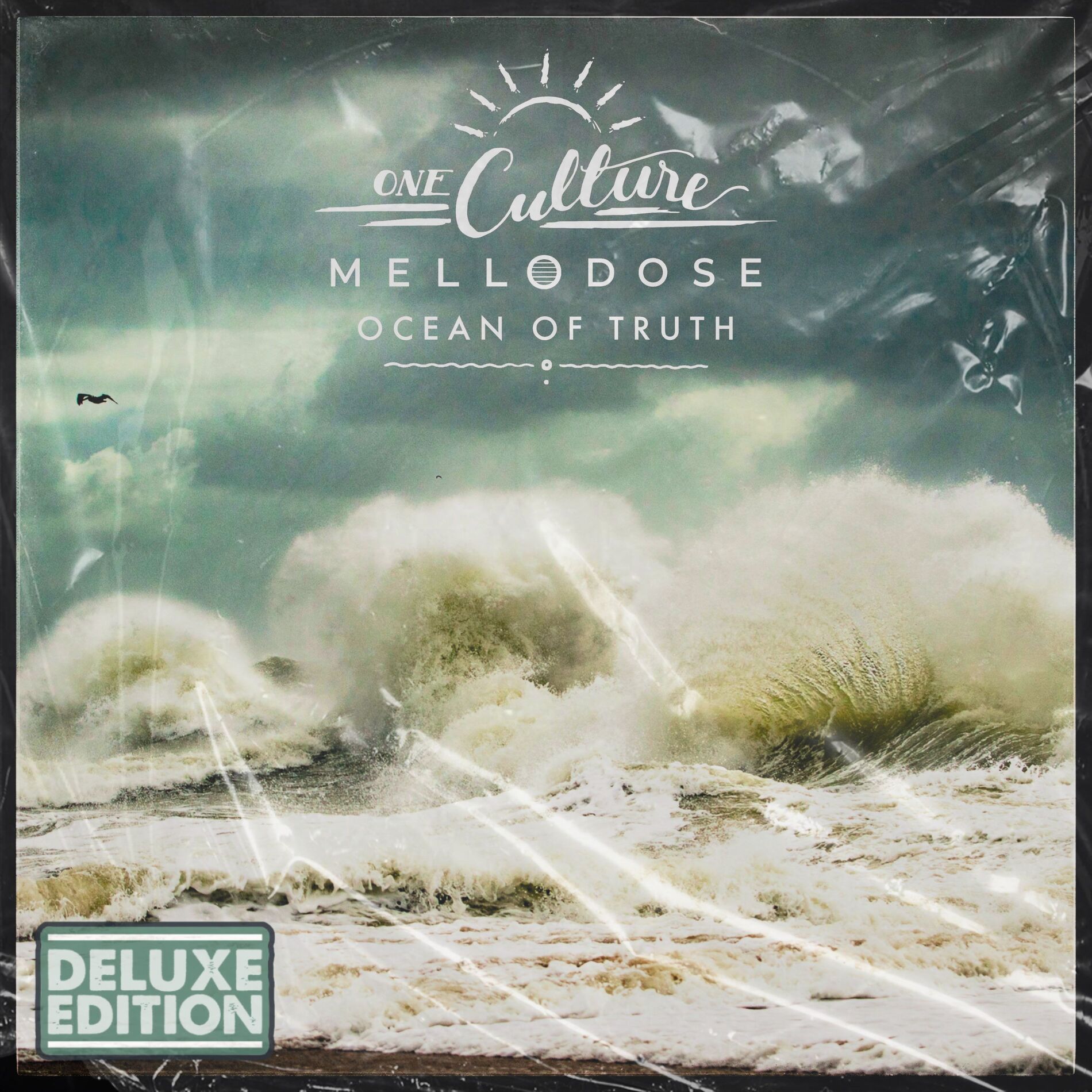 Album cover of Ocean of Truth (Deluxe)