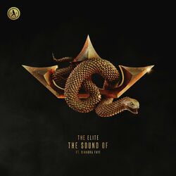 music cover