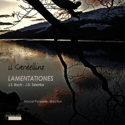 Cover of Lamentationes