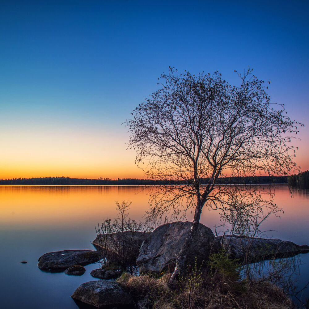 Picture of Music for Stress Relief: Stream of Serenity's Scholarly Recitative