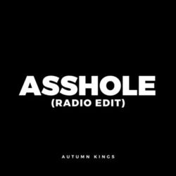 Asshole (Radio Edit)
