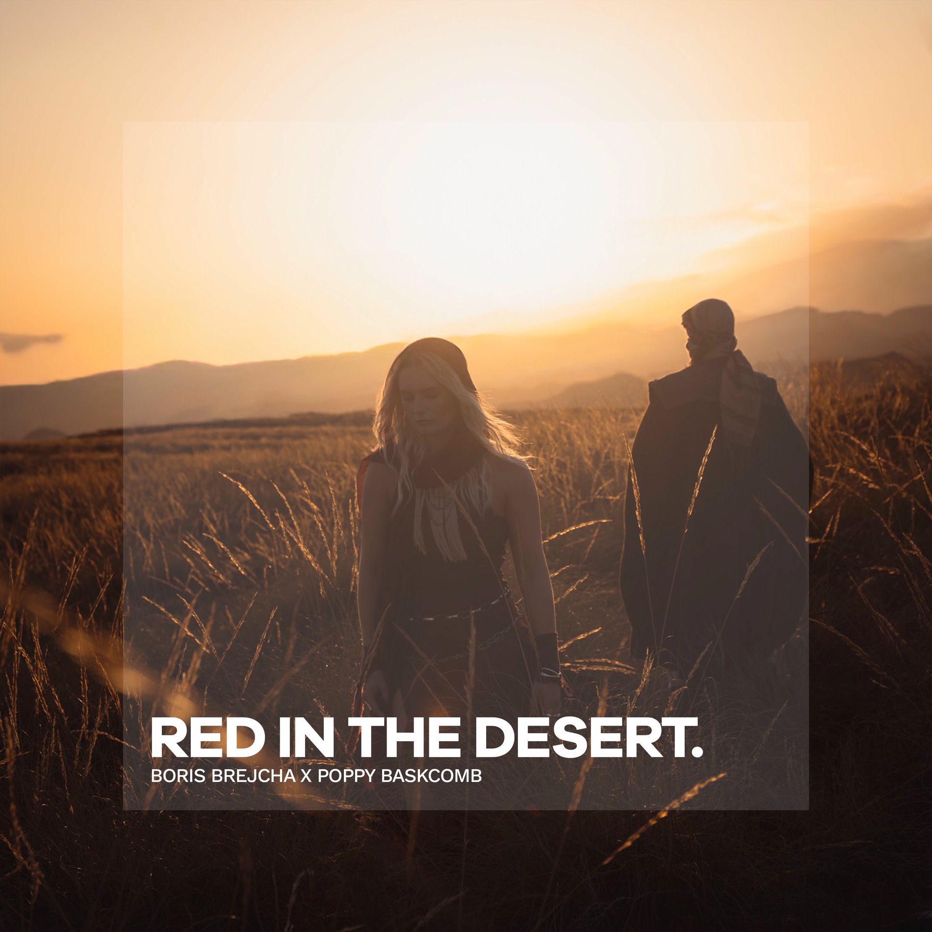 Album cover of Red In The Desert