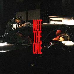 Cover of NOT THE ONE