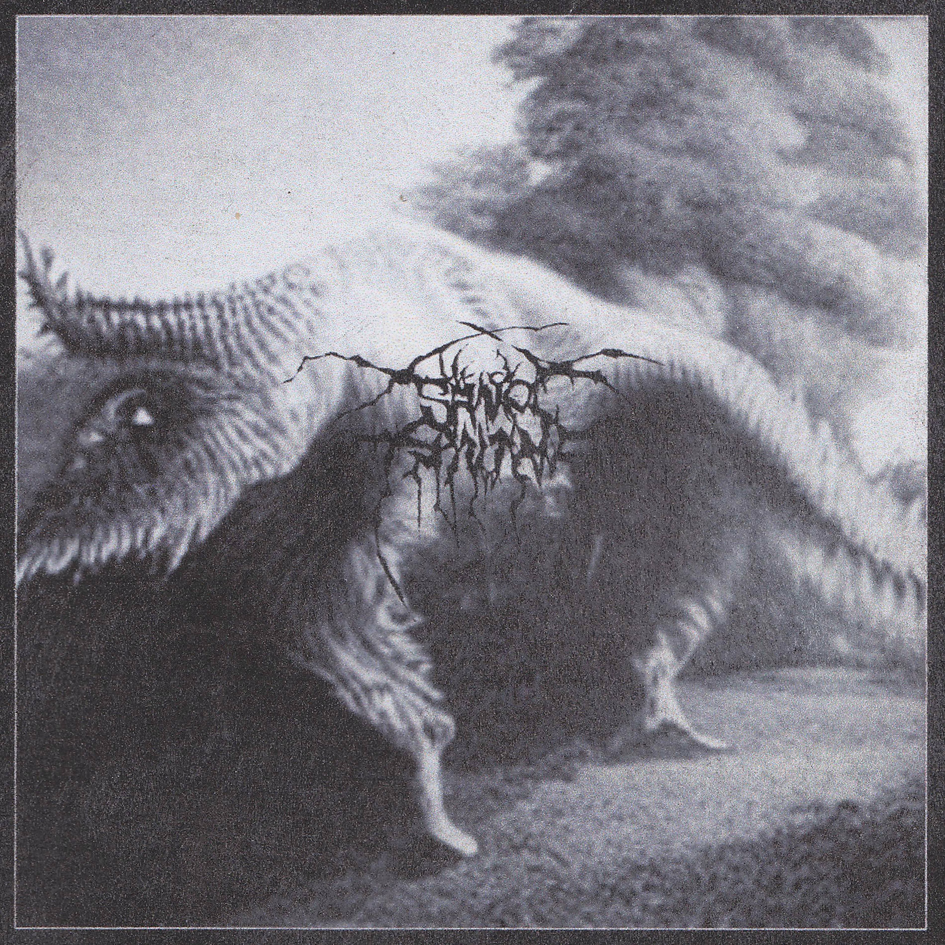 Album cover of Until The Bones In My Fist Hurt