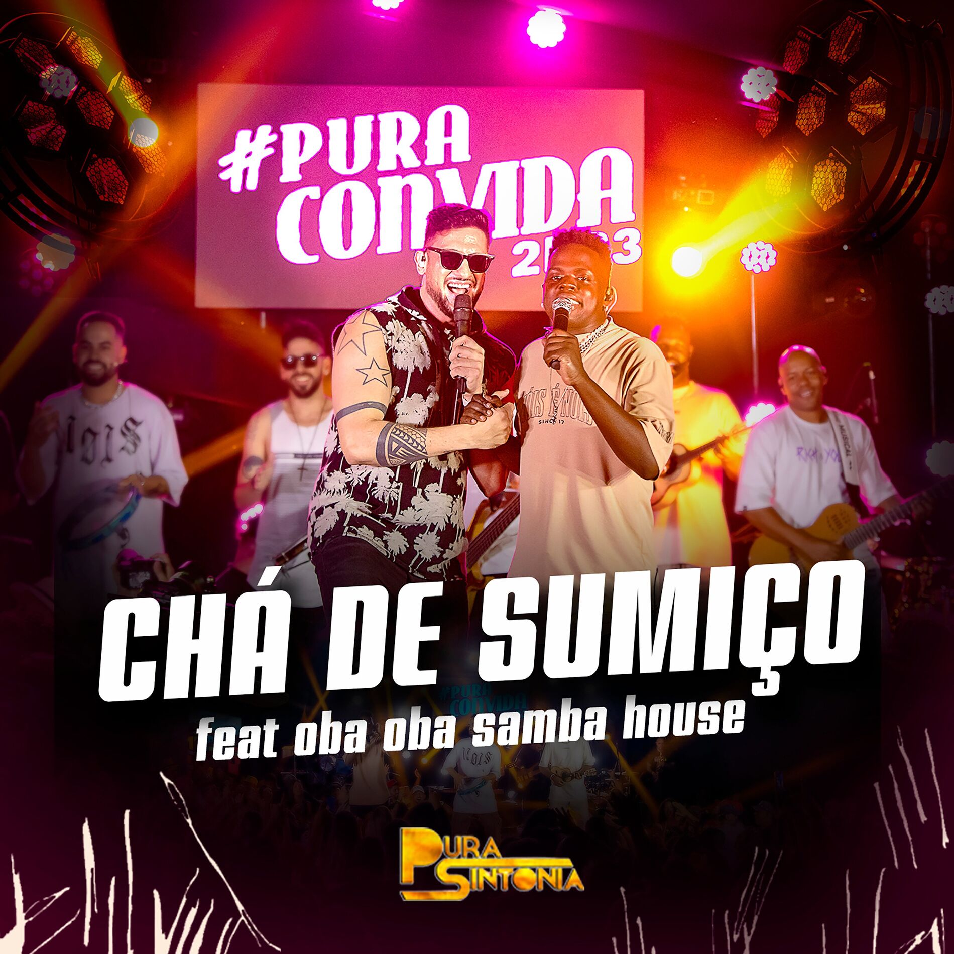 Album cover of Chá de Sumiço
