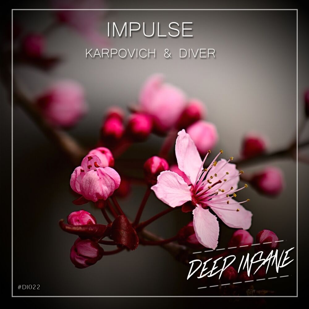 Picture of Impulse