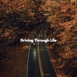 Cover of Driving Through Life