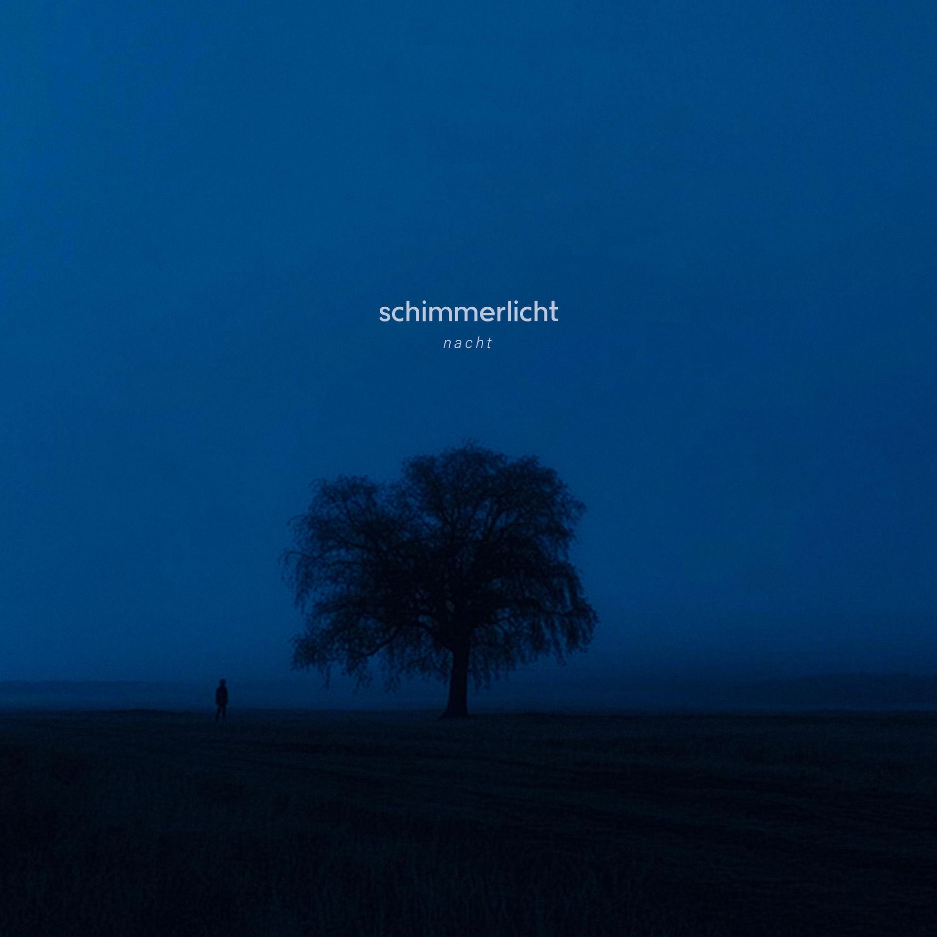 Album cover of nacht