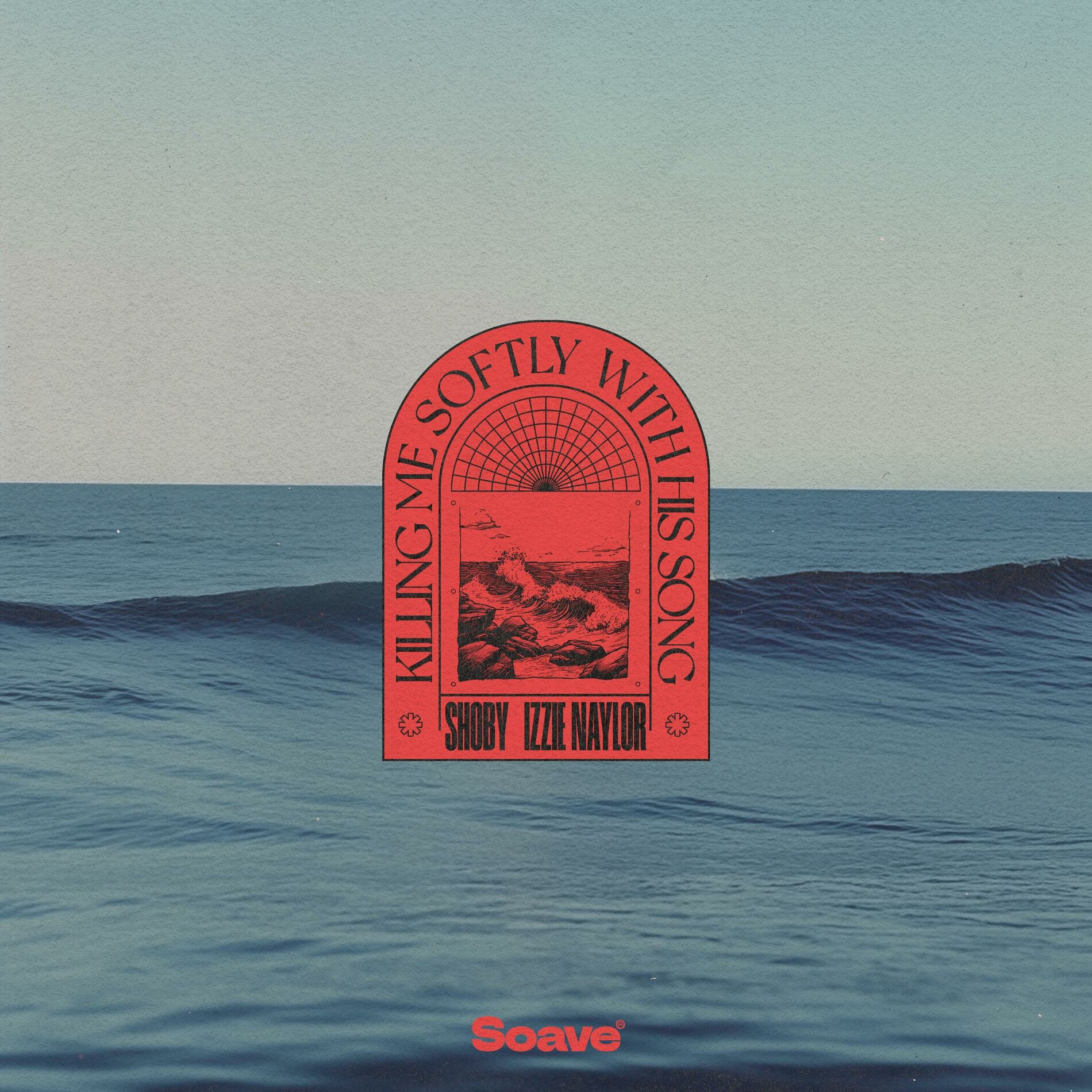 Album cover of Killing Me Softly With His Song