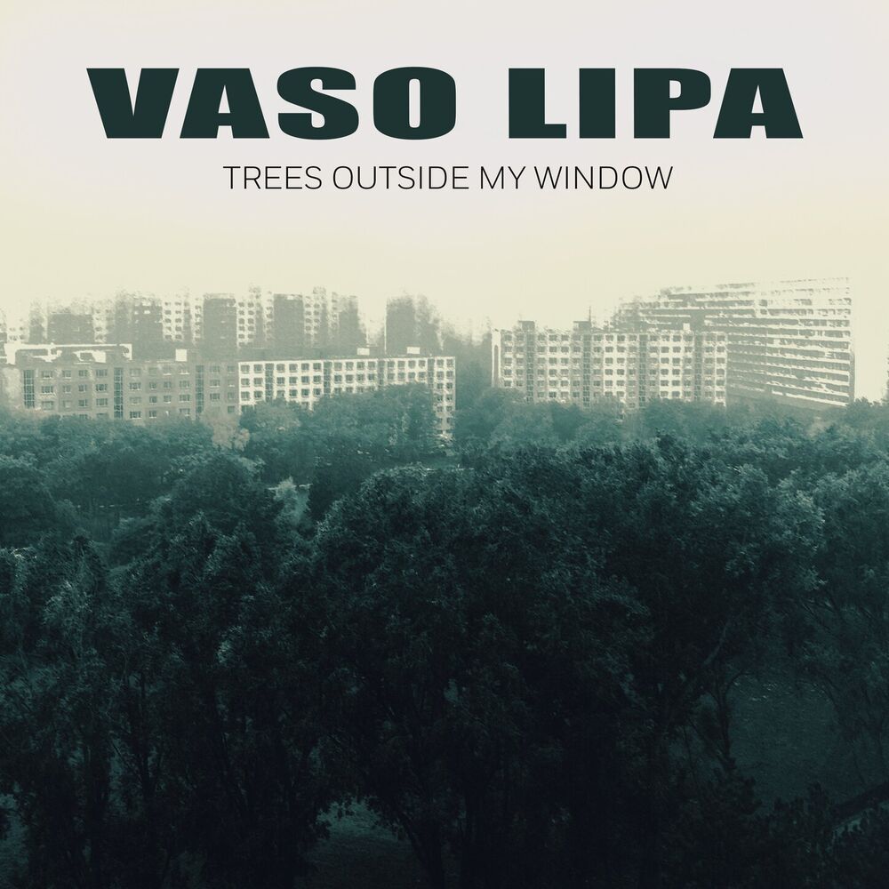 Picture of Trees Outside My Window