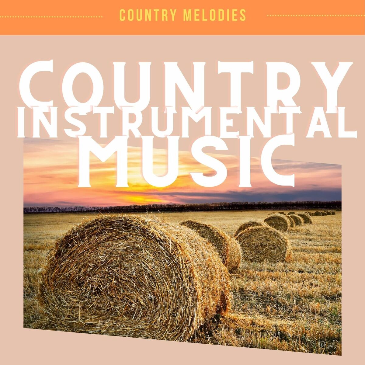 Album cover of Country Instrumental Music