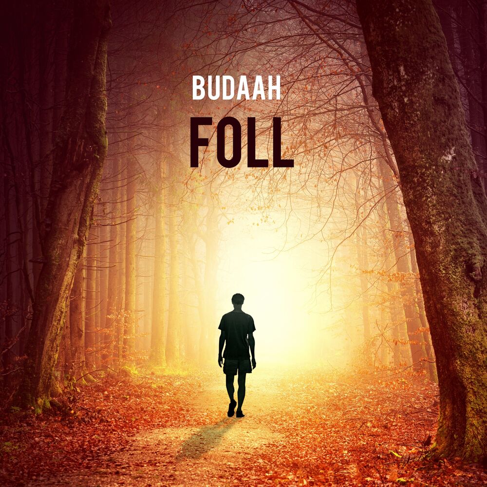 Picture of Foll