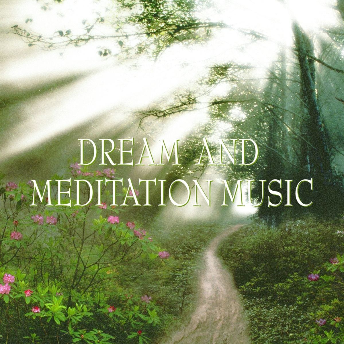 Album cover of Dream and meditation music
