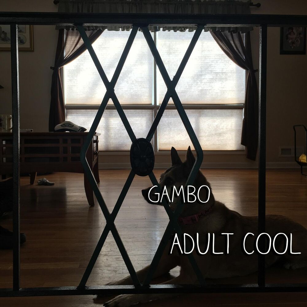 Picture of Adult Cool