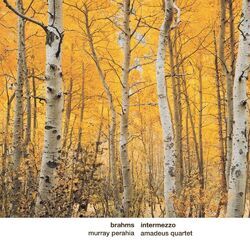 Cover of Brahms: Intermezzo