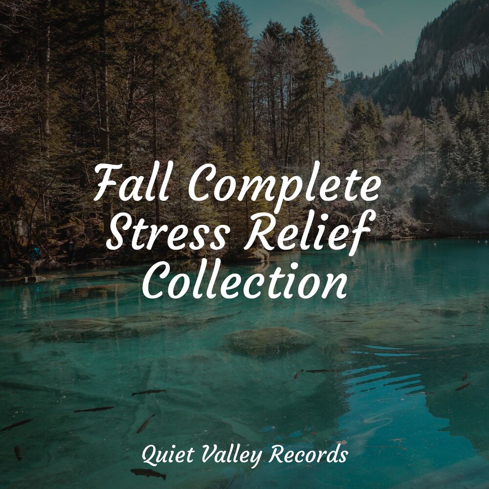 Picture of Fall Complete Stress Relief Collection