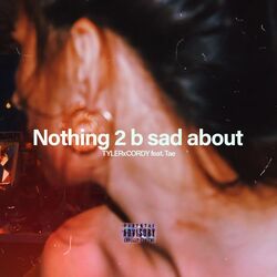 Cover of Nothing 2 b sad about
