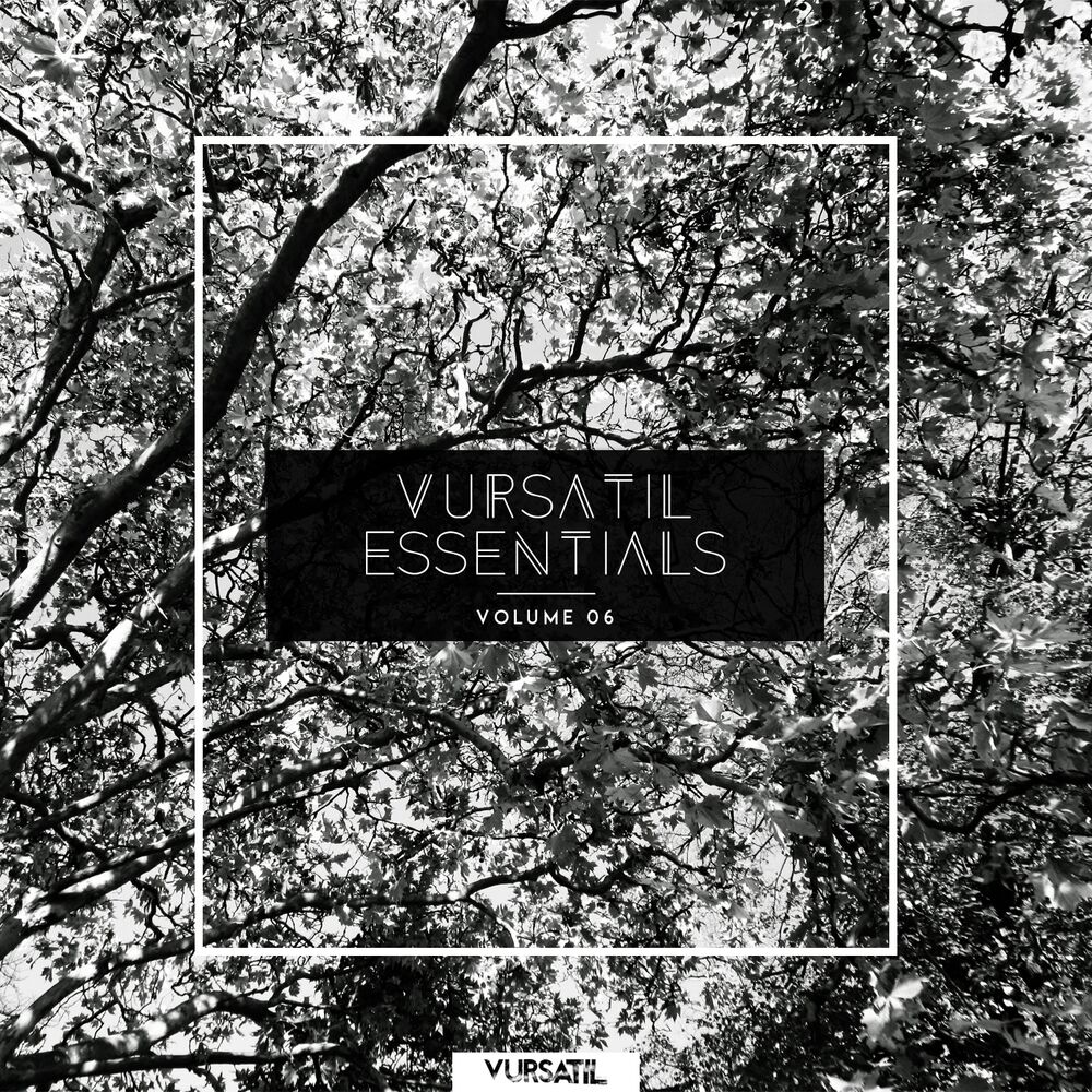 Picture of Vursatil Essentials 06