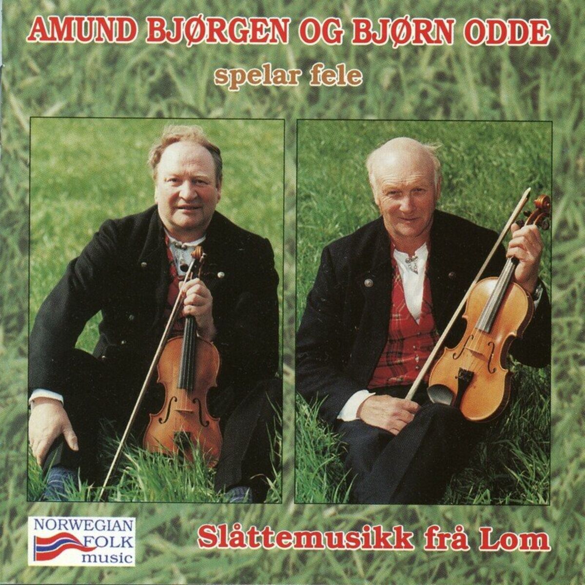 Album cover of Jo Torstugun, Springleik