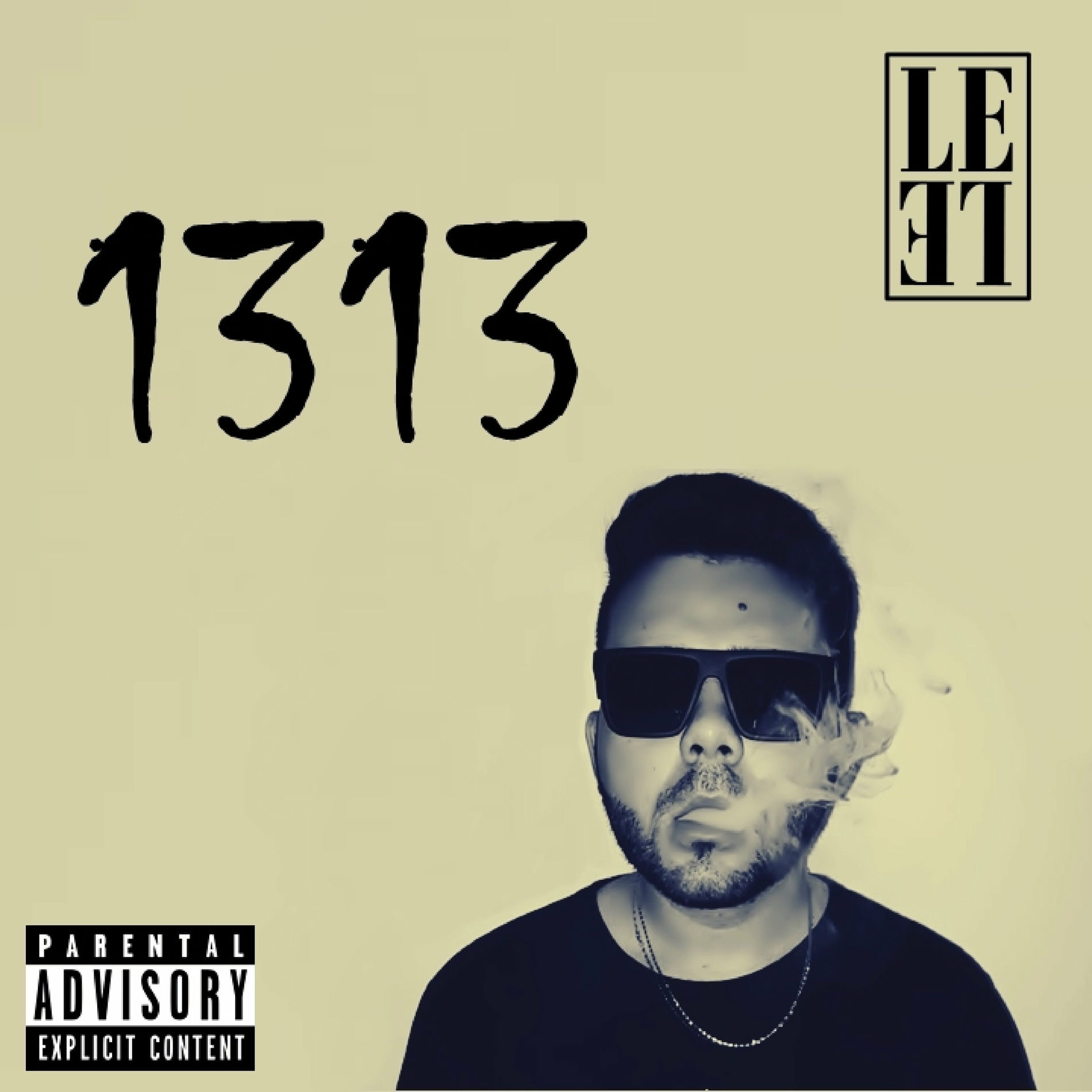 Album cover of 1313