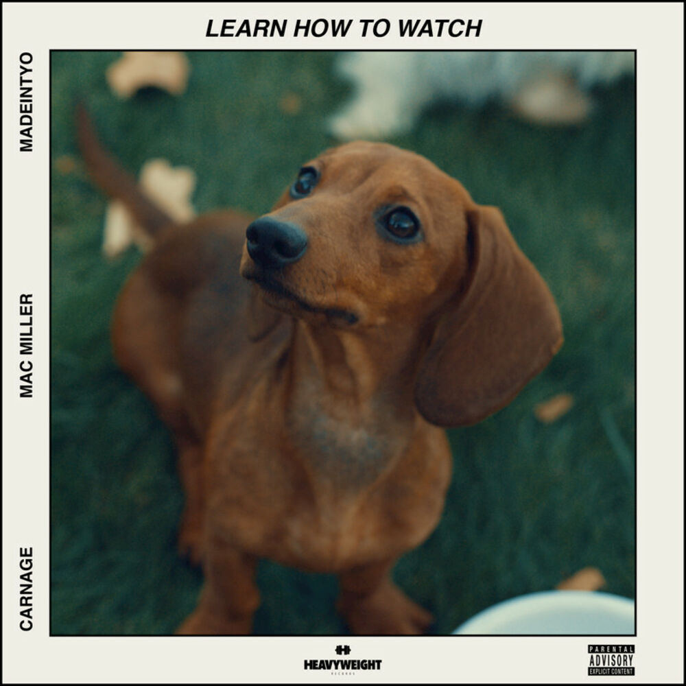 Picture of Learn How to Watch