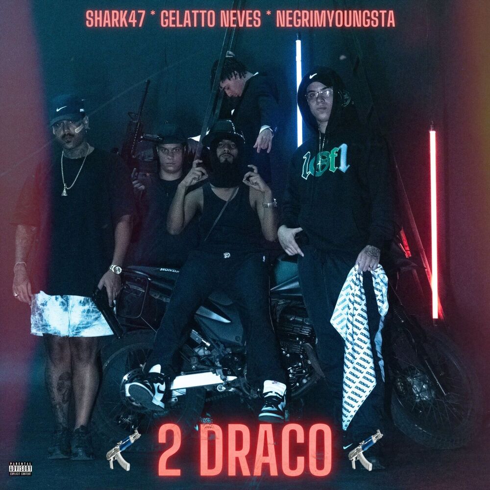 Picture of 2 DRACO