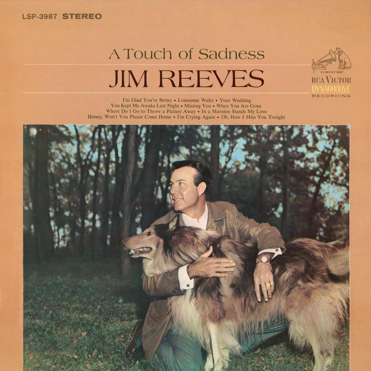 Album cover of A Touch of Sadness