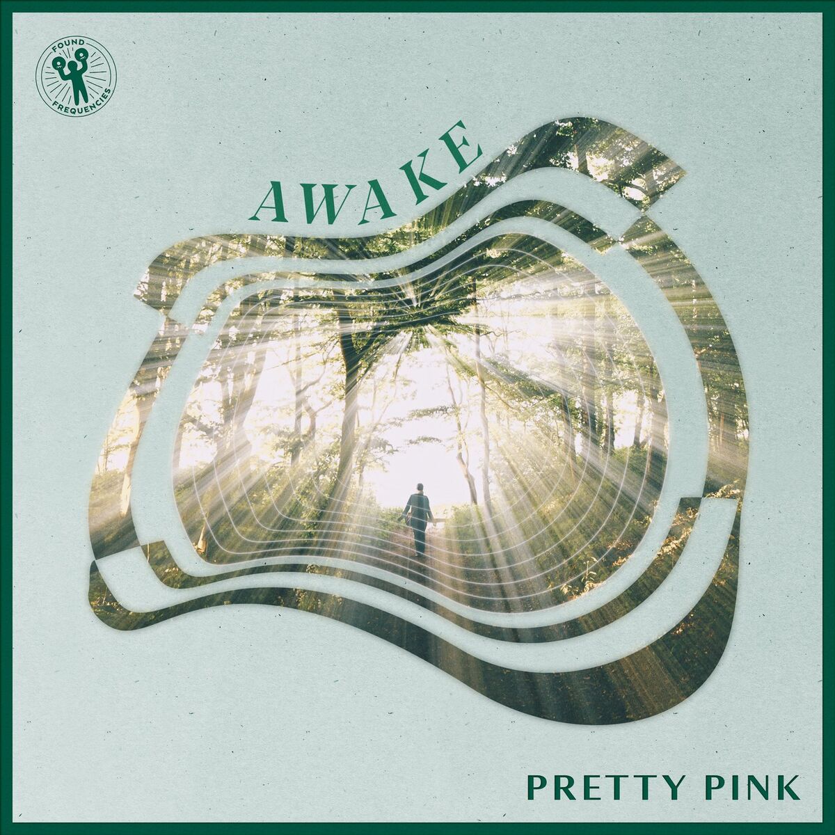 Album cover of Awake
