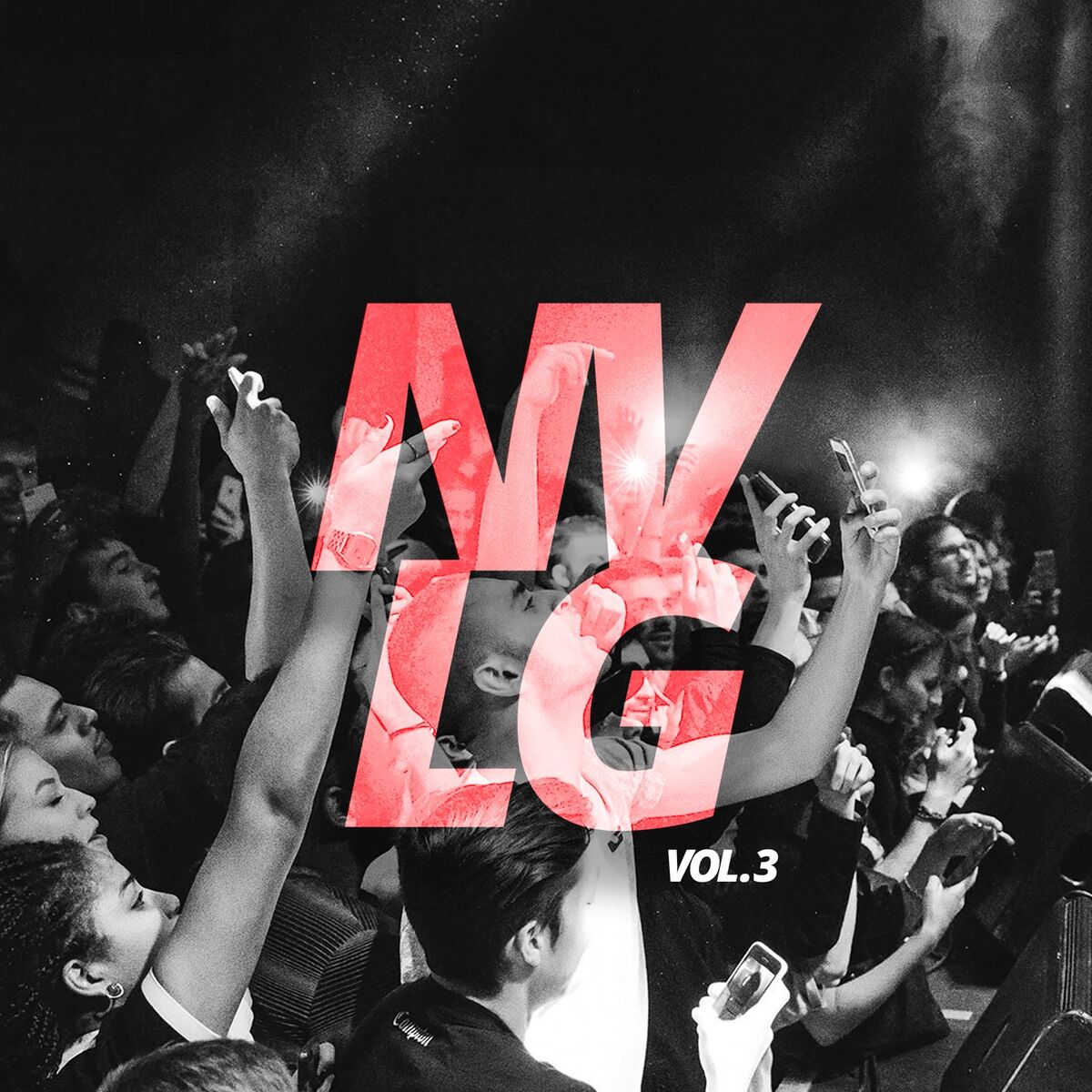 Album cover of NVLG 3