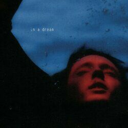 Cover of In A Dream