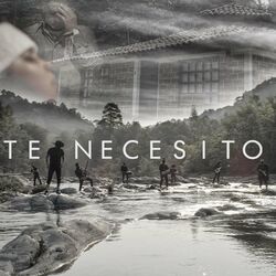 Cover of Te Necesito