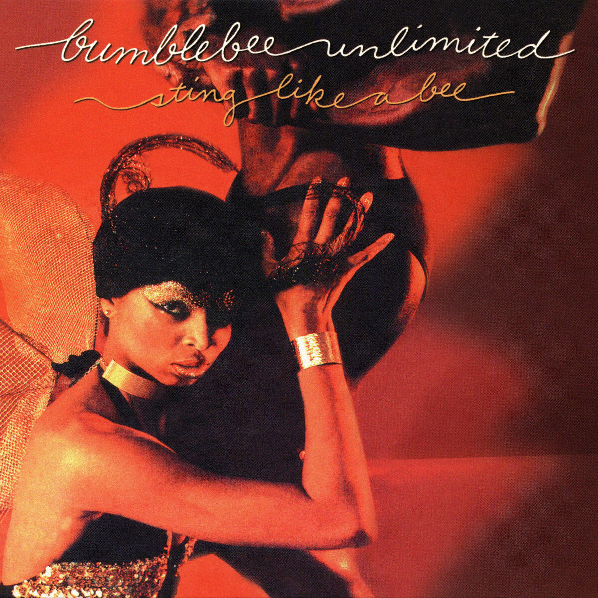 Album cover of Lady Bug