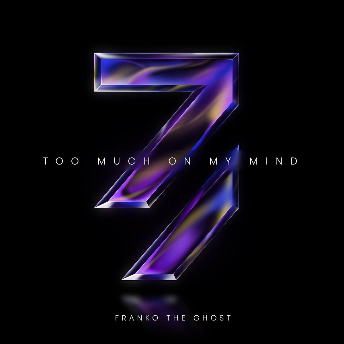 Album cover of Too Much on My Mind