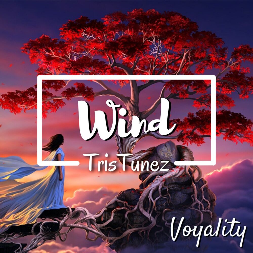 Picture of Wind
