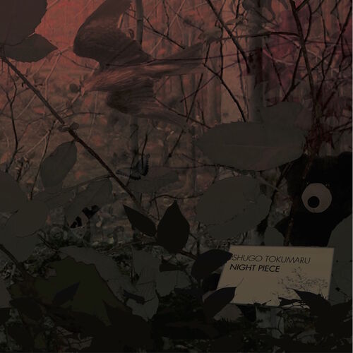 Shugo Tokumaru - Night Piece | Deezer