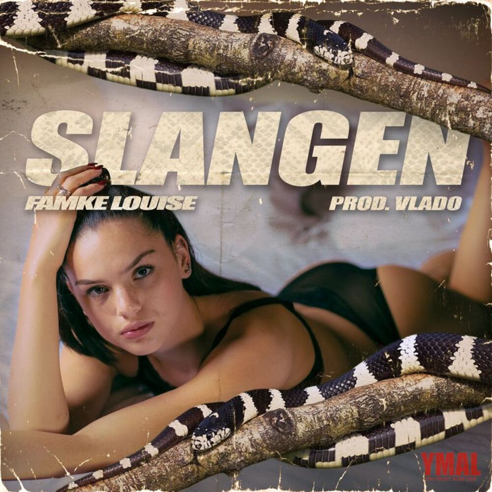Picture of SLANGEN