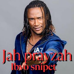 Cover of Ibvo Snipet